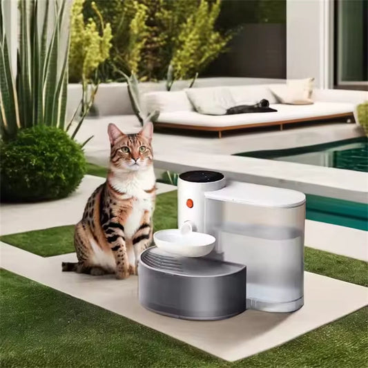Pouring Pet Water Dispenser